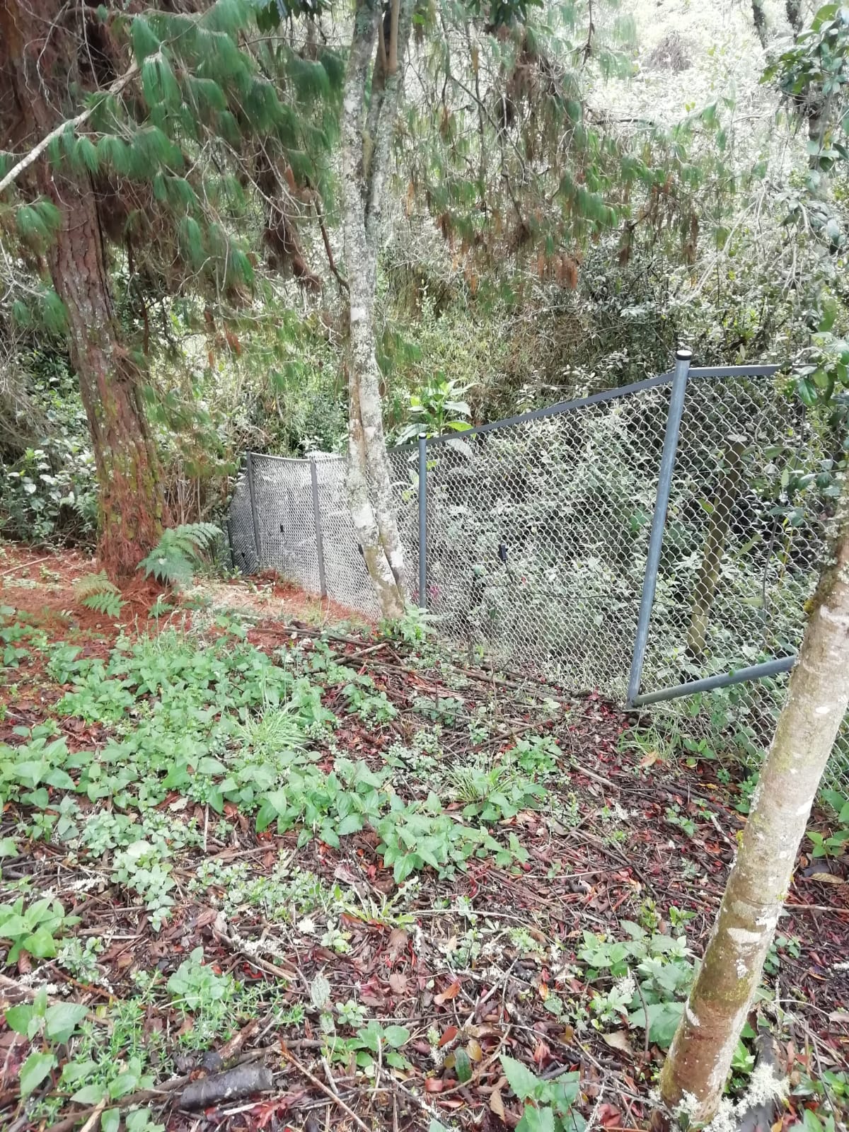 Cerramiento Perimetral